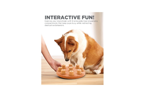 Dog Smart narancssárga kompozit interaktív csemege