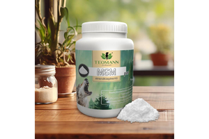 Teomann MSM por 100g