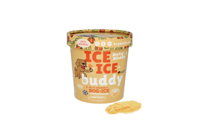 ICE BUDDY Fagylaltpor Sütőtök-Banán 66g